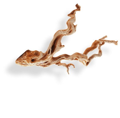 Decorative Branches