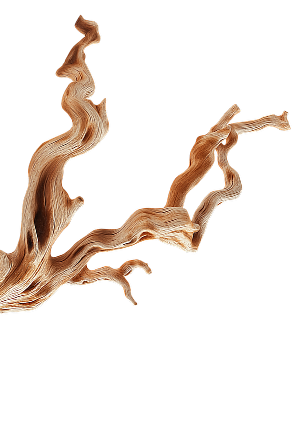 Decorative Branch